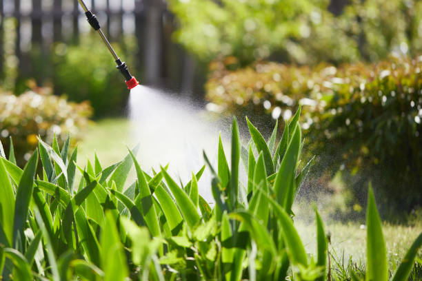 24/7 Emergency Mosquito Control experts in Commerce City, CO