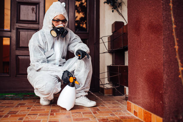 Reliable Mosquito Control contractor in Commerce City, CO by Show Me Pest Control