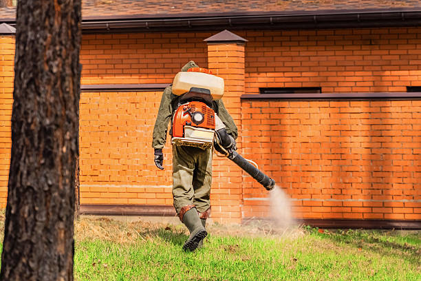 Top rated local Mosquito Control specialists in Commerce City, CO